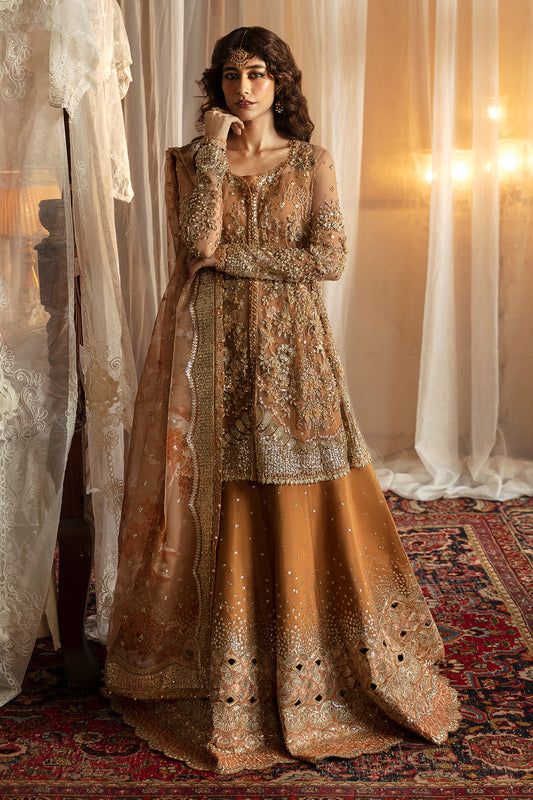 Afrozeh Hayat ’24 Wedding Collection | Nooray