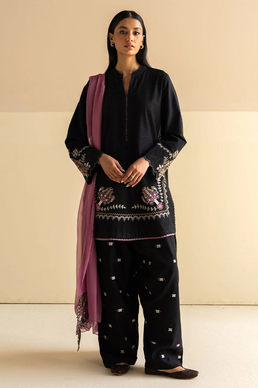 Zara Shahjahan Fall Pret'24-ZC-2105