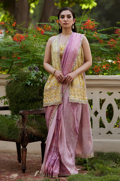 Iqala Saree, Blouse And Jacket