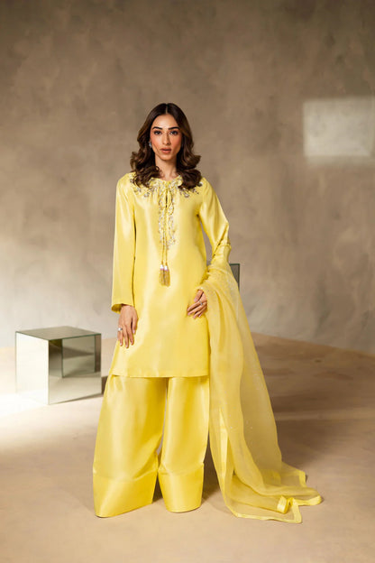 Sajni Luxury Formal '25 - Helen