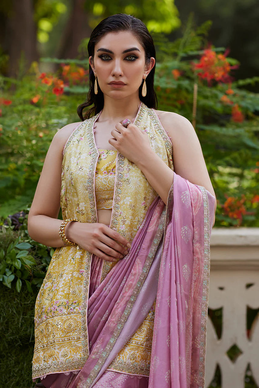 Iqala Saree, Blouse And Jacket