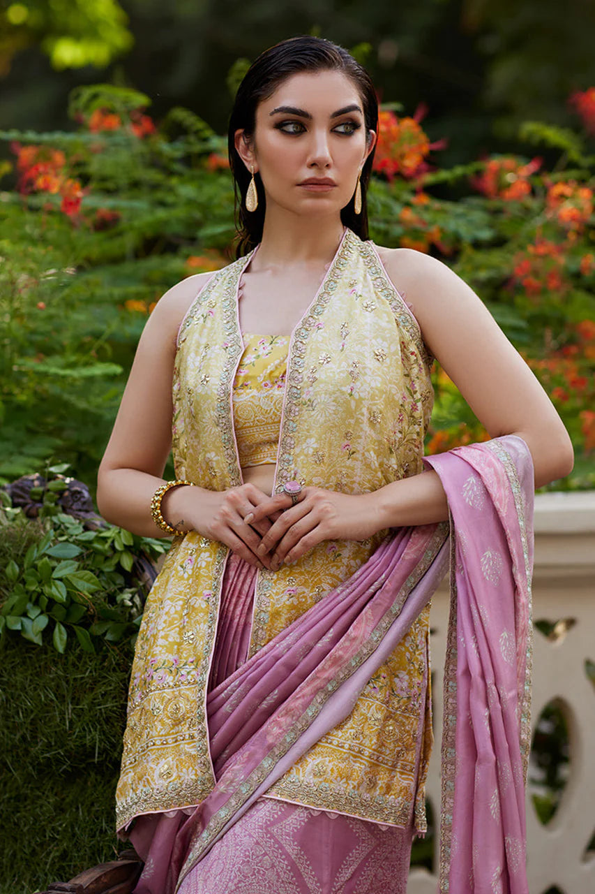 Iqala Saree, Blouse And Jacket