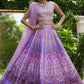 Ferazia Embellished Lehenga Choli