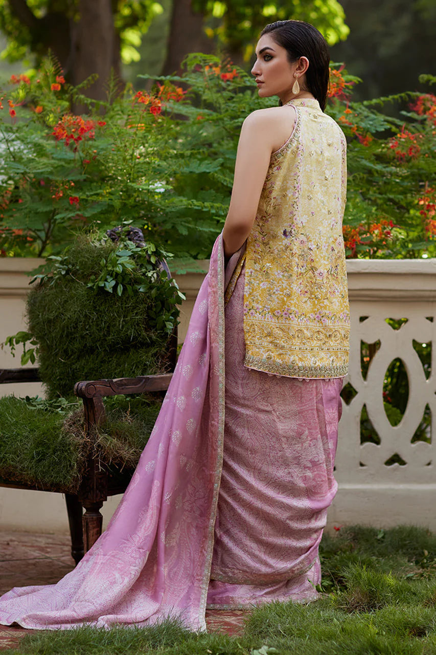 Iqala Saree, Blouse And Jacket