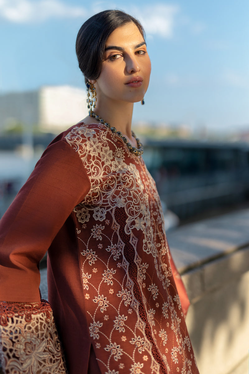 Carnation Winter Shawl Edit ’24 by Rang Rasiya | BROWN SET