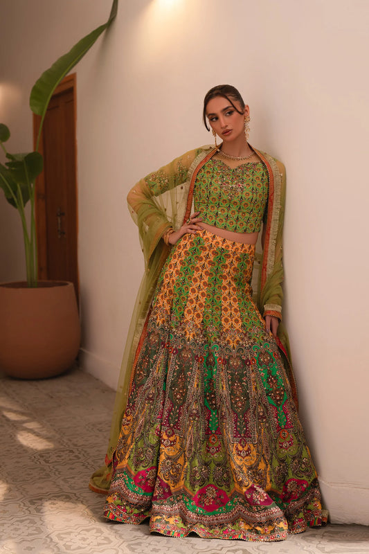 Ammara Khan Ronaq'25 - Multi Kali Lehnga Choli