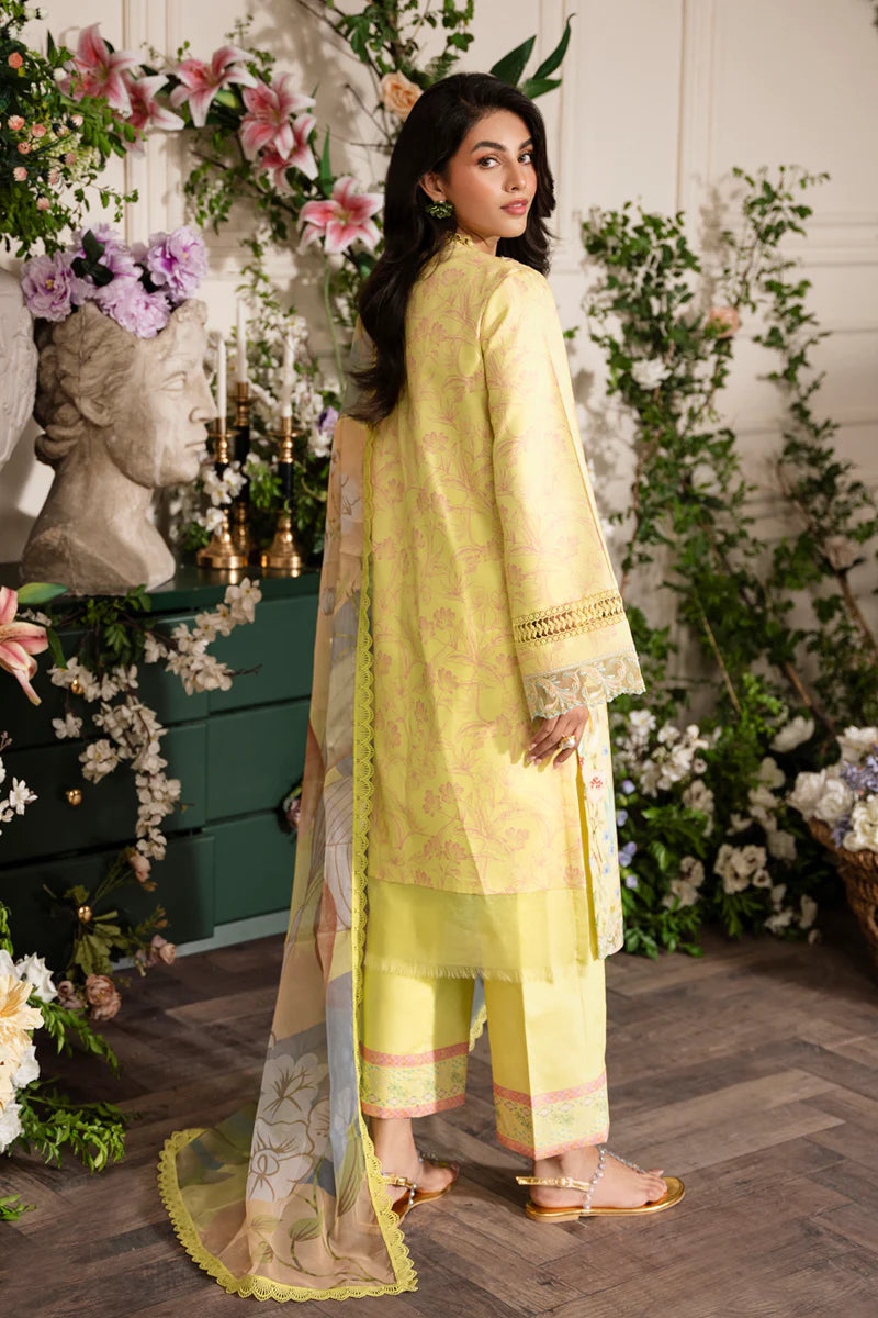 Lifestyle Embroidered Edit ’24 by Rang Rasiya | SUN KISSED