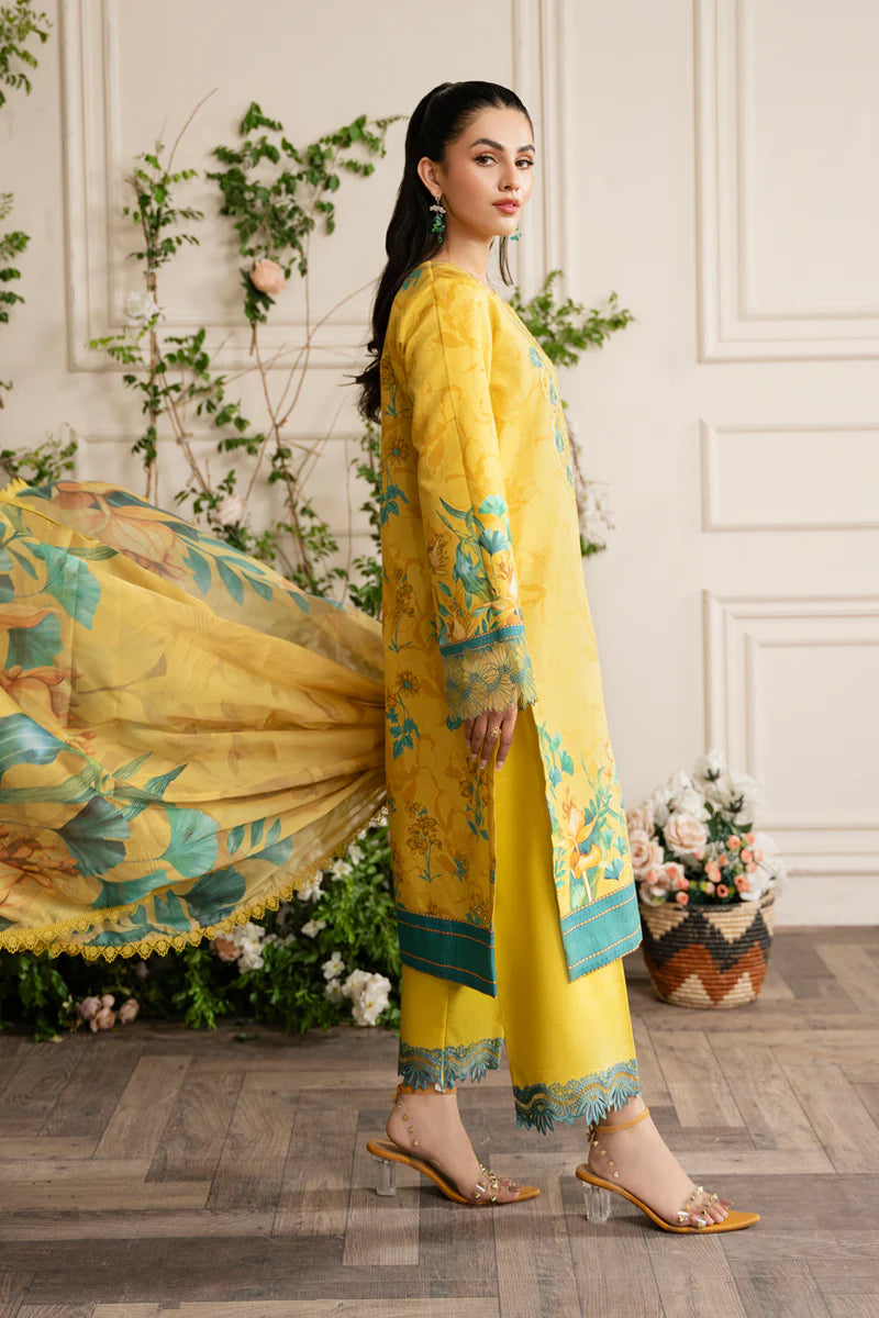 Lifestyle Embroidered Edit ’24 by Rang Rasiya | SERENA