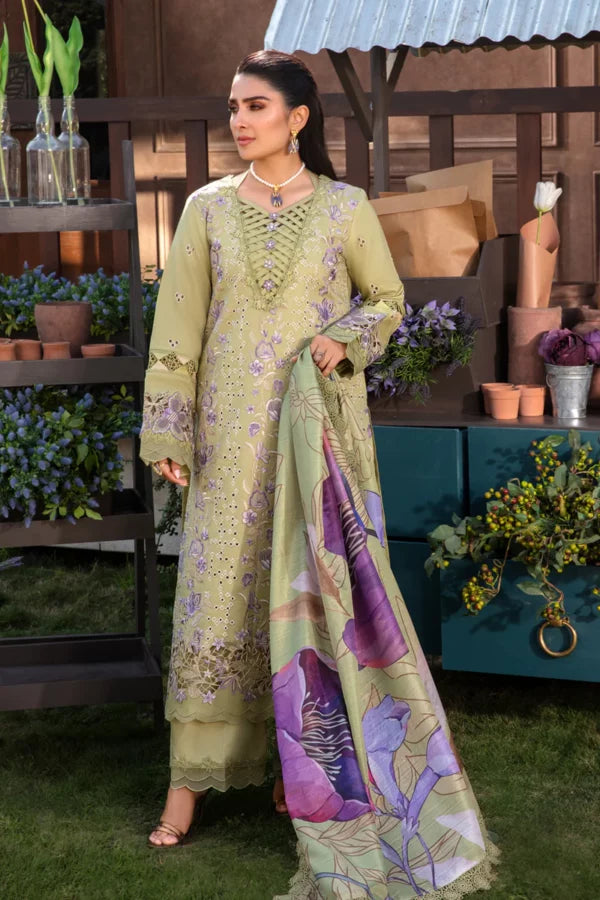 Rang Rasiya Premium Eid Collection ’24 | RR24V04PED08