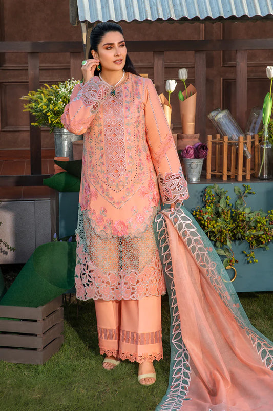 Rang Rasiya Premium Eid Collection ’24 | RR24V04PED03