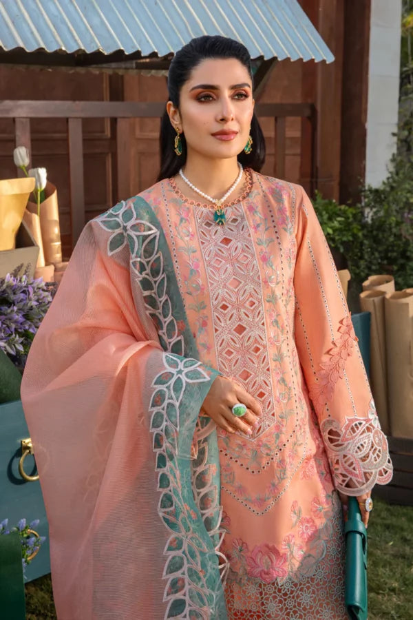 Rang Rasiya Premium Eid Collection ’24 | RR24V04PED03