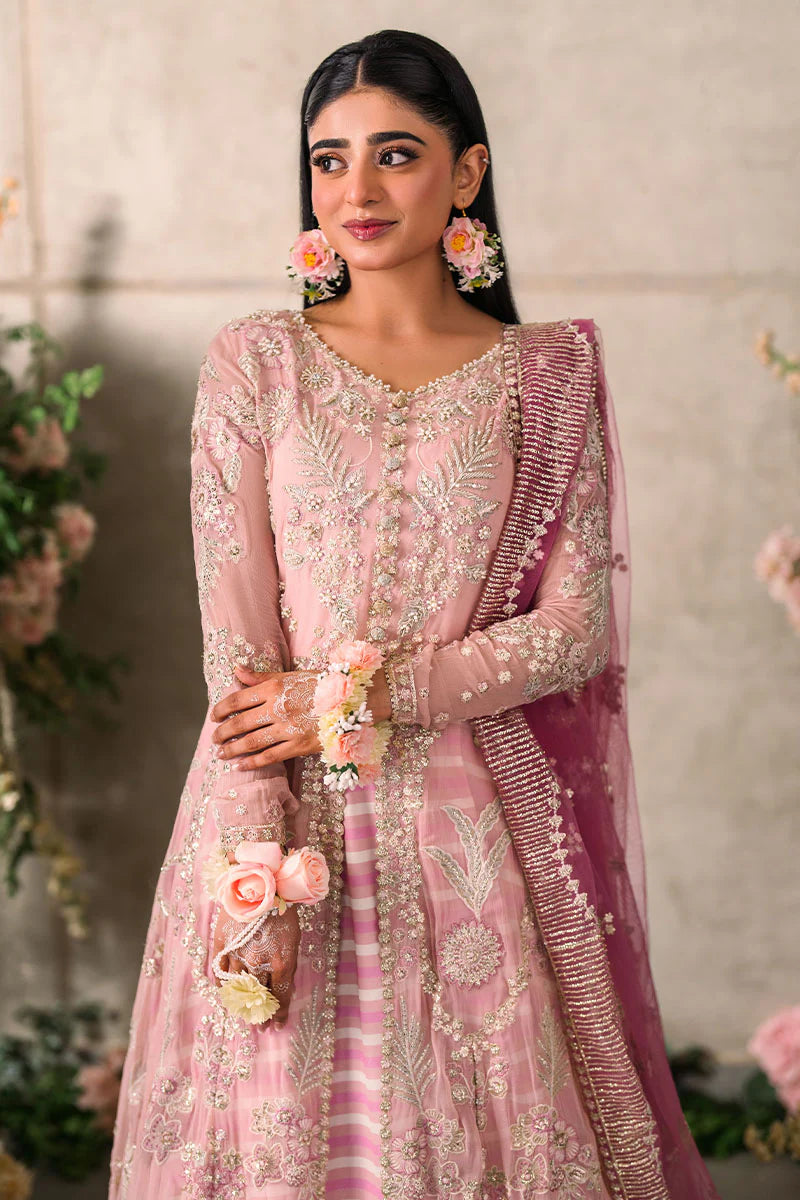 Mastani Evening Chiffon Collection by Mushq | Maisha