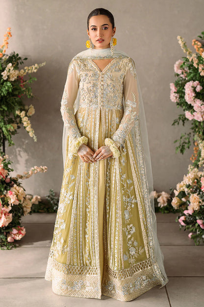 Mastani Evening Chiffon Collection by Mushq | Hira