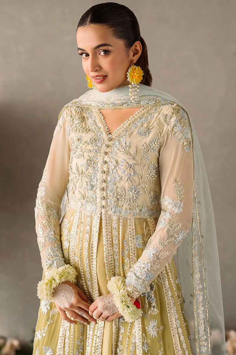 Mastani Evening Chiffon Collection by Mushq | Hira