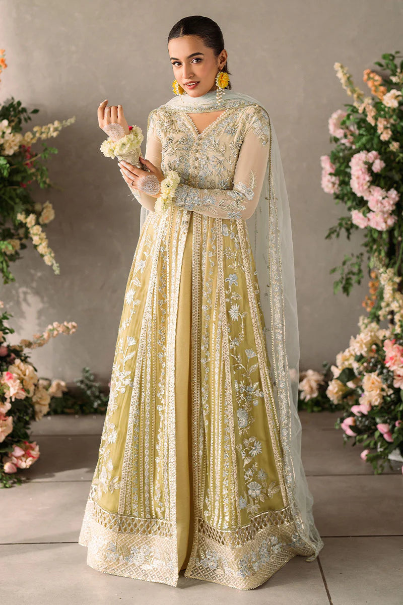 Mastani Evening Chiffon Collection by Mushq | Hira