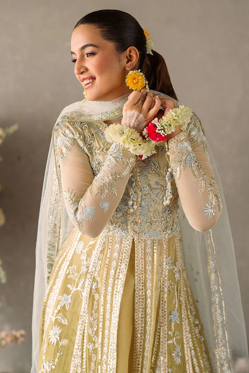 Mastani Evening Chiffon Collection by Mushq | Hira