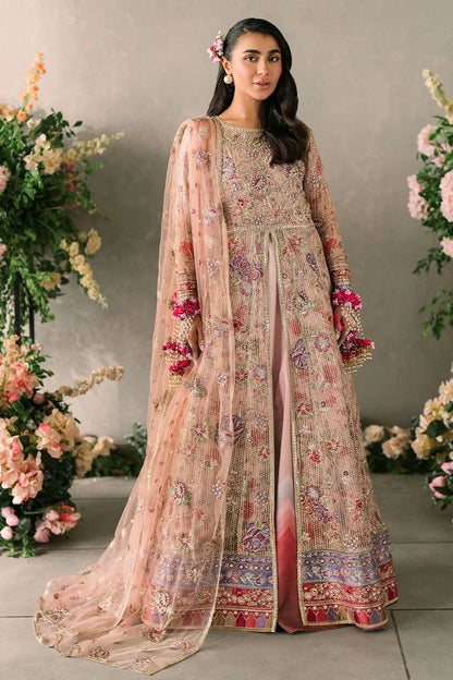 Mastani Evening Chiffon Collection by Mushq | Sona