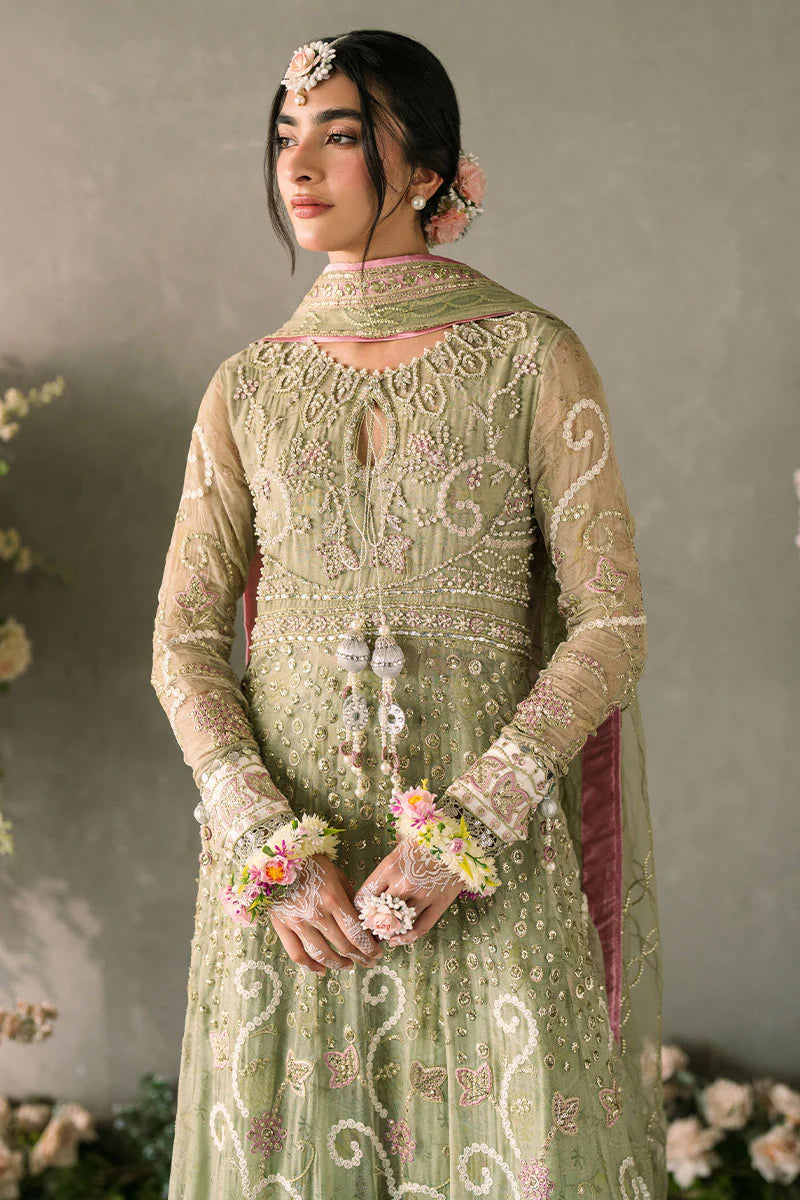 Mastani Evening Chiffon Collection by Mushq | Namar