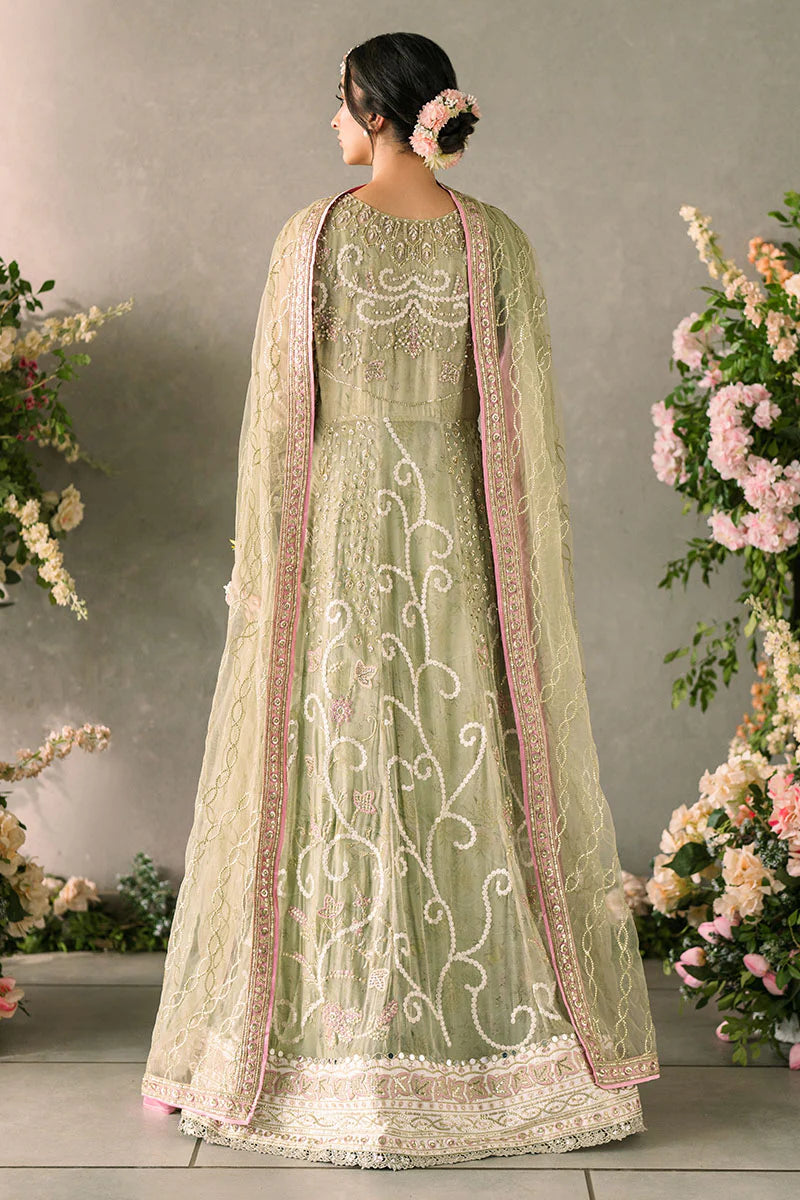 Mastani Evening Chiffon Collection by Mushq | Namar