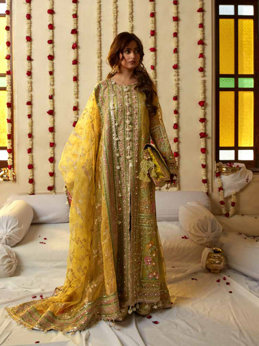 Mohsin Naveed Ranjha Zarlish Wedding Collection – NIMBU